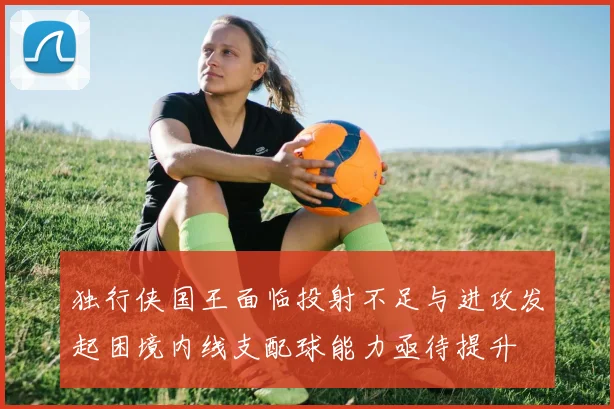 独行侠国王面临投射不足与进攻发起困境内线支配球能力亟待提升